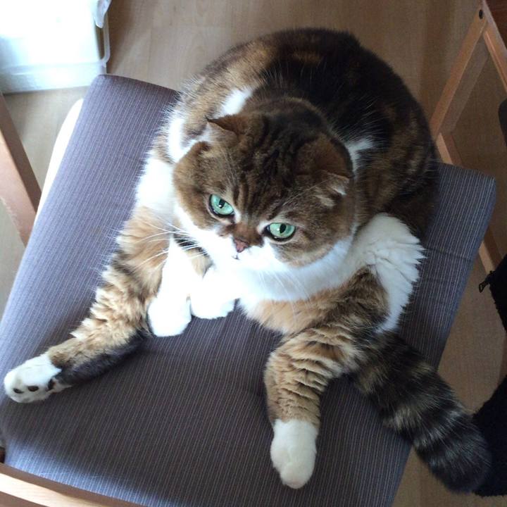 B63aa983 d81a 4d76 83ef b39fcb3dac28