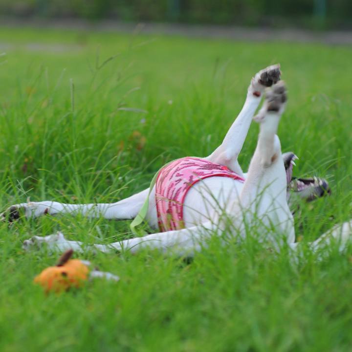 B63adb53 223b 4335 aa67 9d7a64c8f528