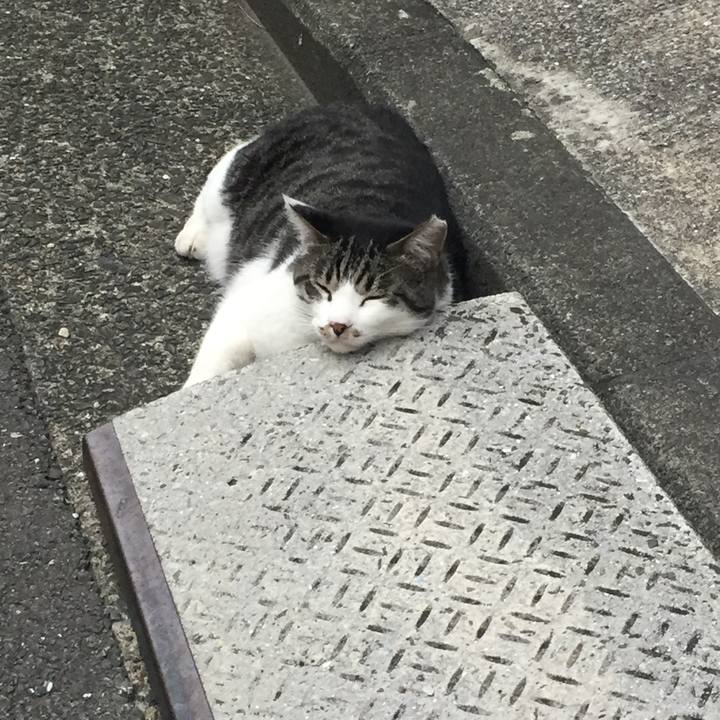 B63ae87c 4405 403c a17a 4a9cb97187fb