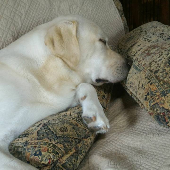 B63af0a6 ba7b 45f3 b2dd 187d805e57ef