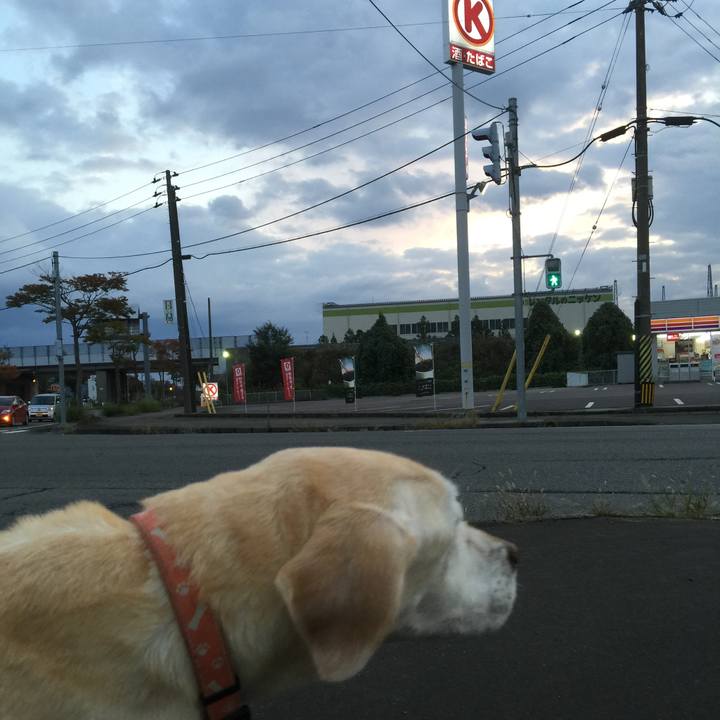 B63baa1e 1483 4c8e 8936 b2486fd5f96b