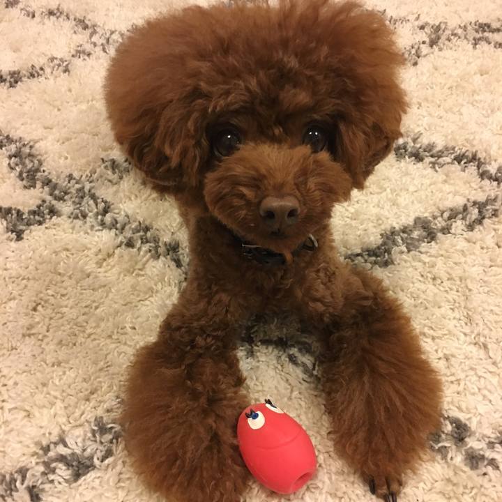 B63bacc8 4551 45bb 92de b09606cf1469