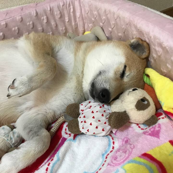 B63bf83f a616 4fc3 b7b9 71b496a75366