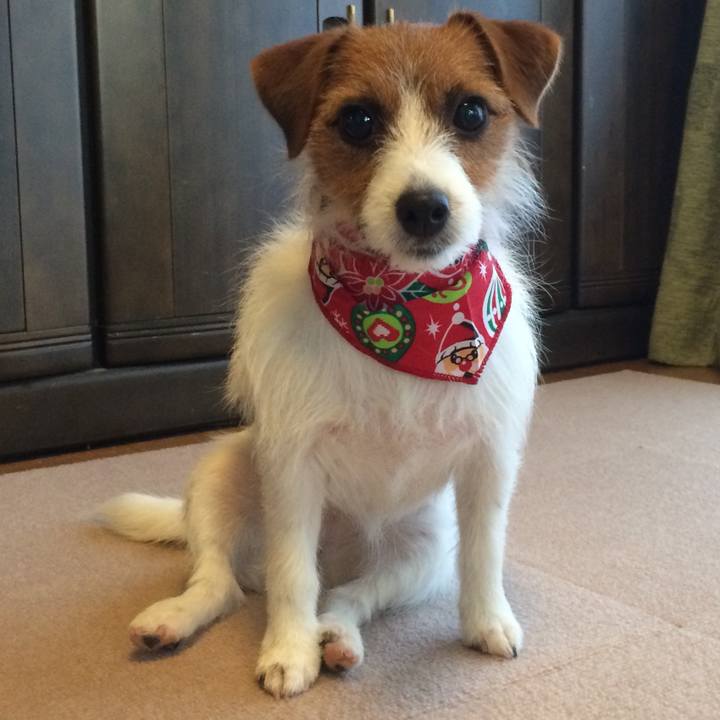 B63ccc29 599e 45c8 b1fa 5e7b12f561c3