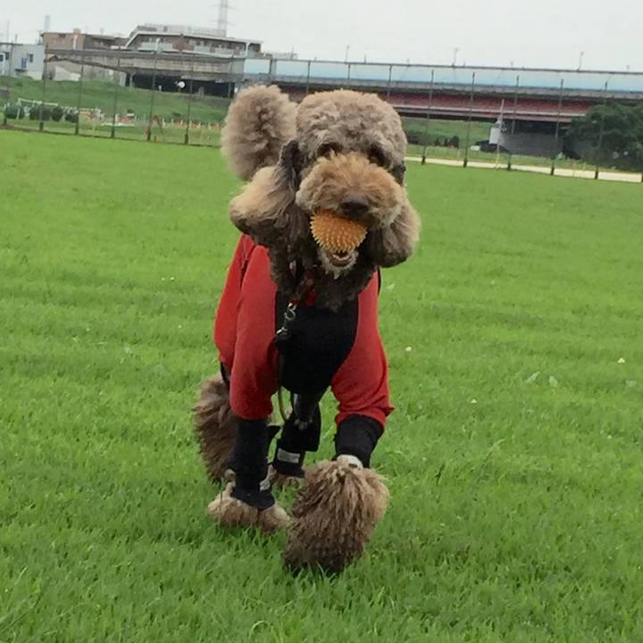 B63d408a 199e 4e9f 8f0f 93e6bb0cf42c