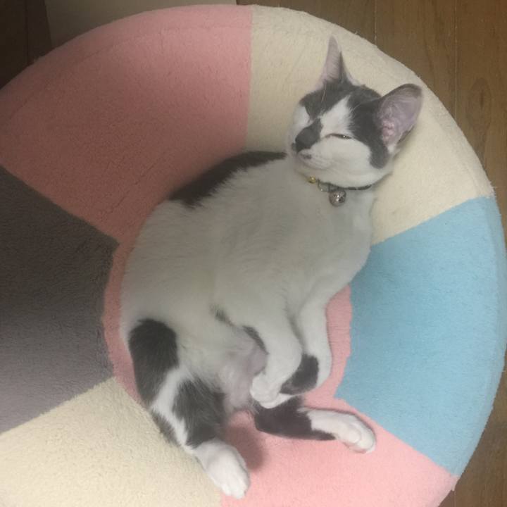 B63d5d5c c35d 490f 8400 ec23ff934d2b