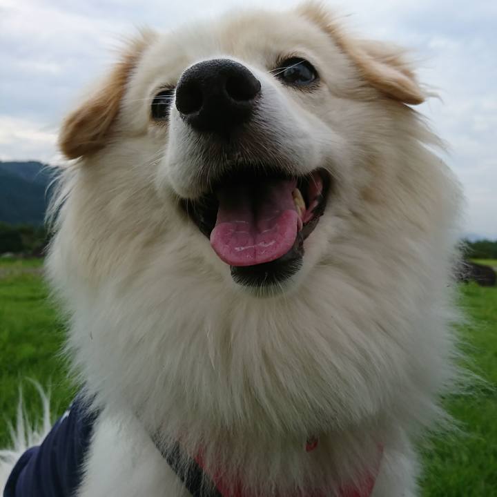 B63dd376 1f4f 4f50 b01a db55c416a8e8