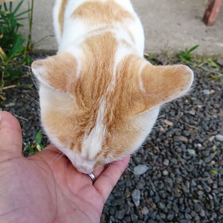 B63e6d5b dd9e 4fa2 9f80 168b63b9b757