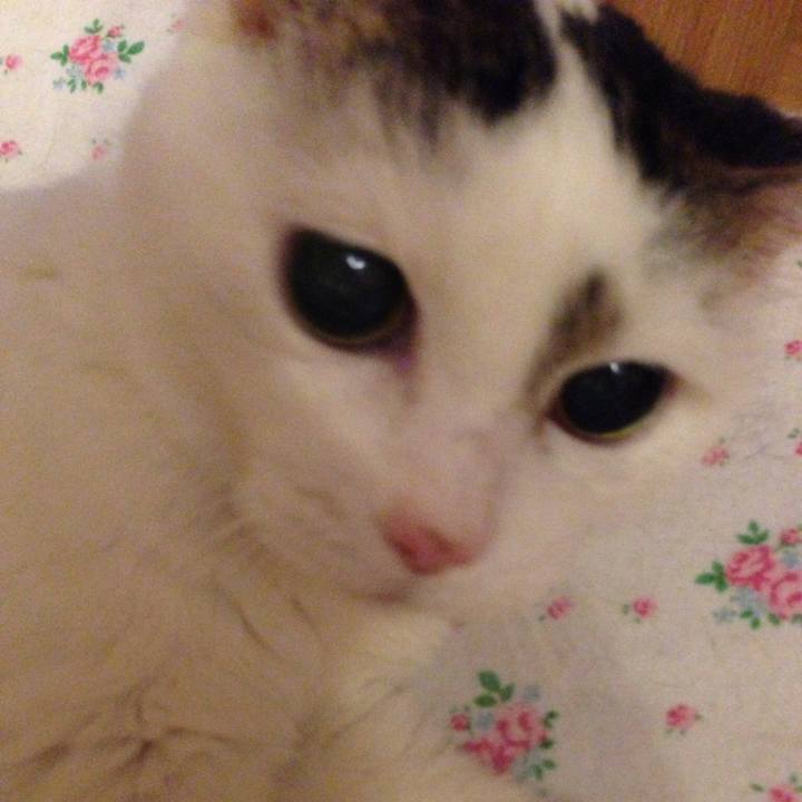 B63e7012 dea4 4f12 916a 4ee07703124f