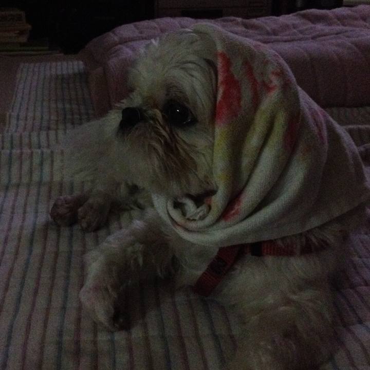 B63e884d 7658 46b8 8b75 761f07402830