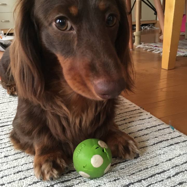 B63ff821 3a87 4df5 bc83 10bce00c3c26