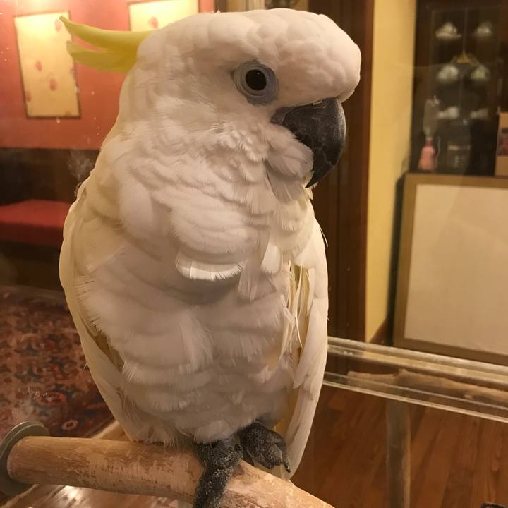 B64014b9 c18f 4b2e 825b 914a91890601