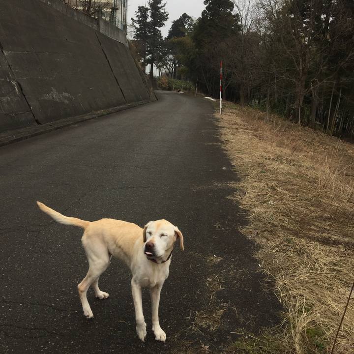 B6402120 0441 4abf 8e80 0524c038f427