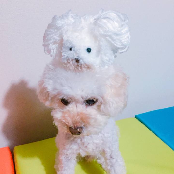 B6403e2e eb46 4ec6 a80f 10013738cb40