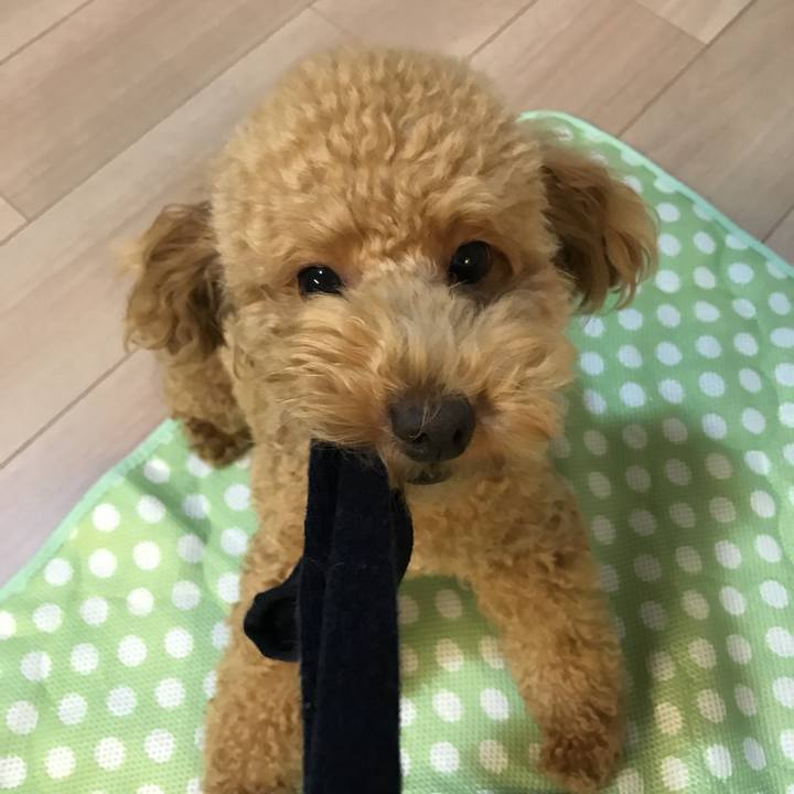 B64064b5 05d2 4eb1 8042 0d0c6a4ac198