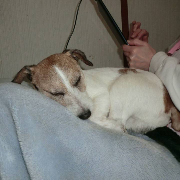 B640b9be f105 42db ae34 76d728cc21cb