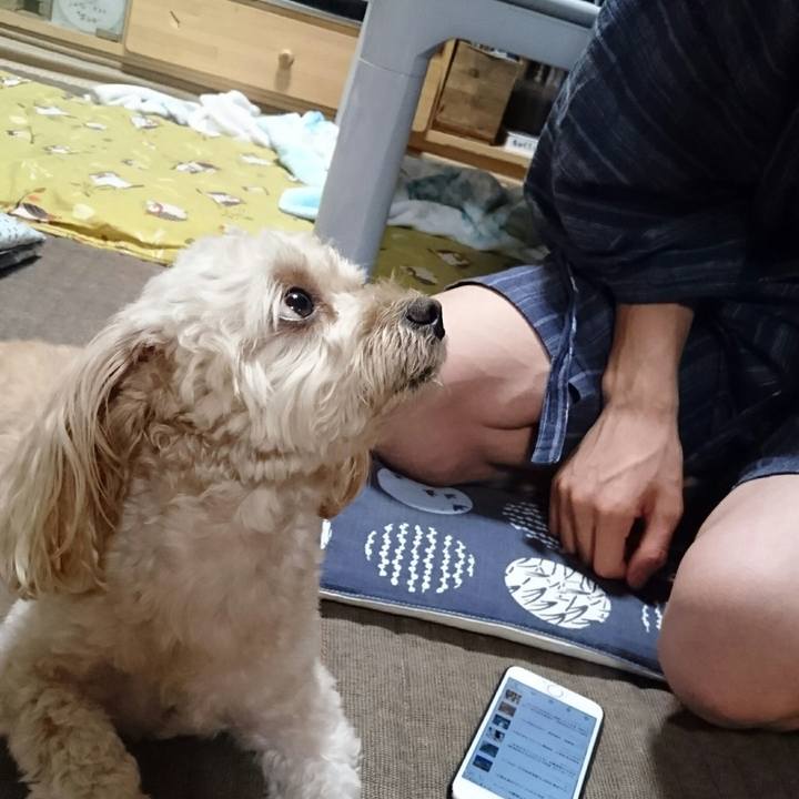 B6411d6c d6b1 4747 ad93 642640b52af2