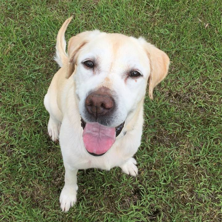 B6412849 608e 4371 ab57 09a25ee52383