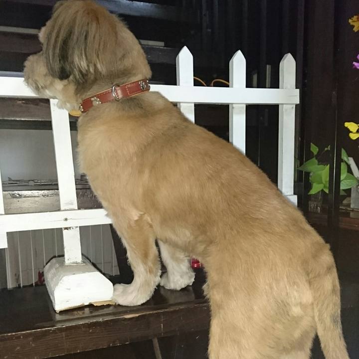 B6418a09 79dd 4903 884c 45633c99a668