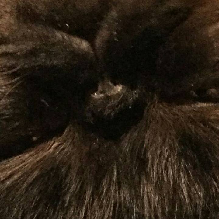 B64251bf 1248 45f6 976b 7b9c19cdd3e6