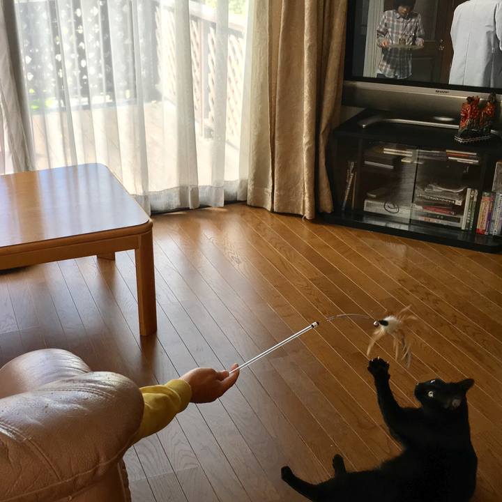 B6427d92 3b3b 40a5 ae07 4ca947d92b6c