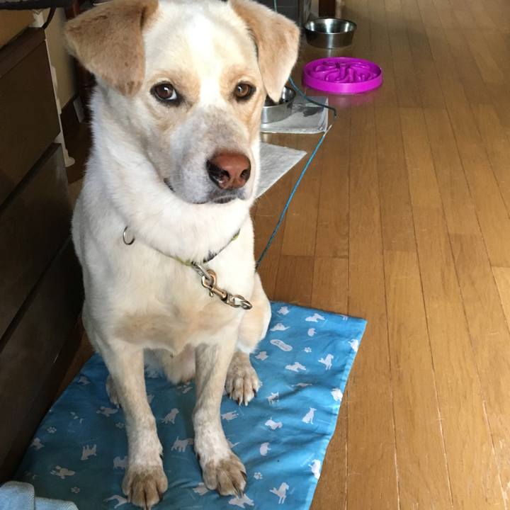 B642ab50 b073 4eb4 9faa 29ef6ad2d283