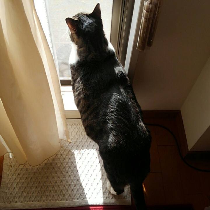 B642ac21 4187 48f1 9cc7 d5b61c3a7b08