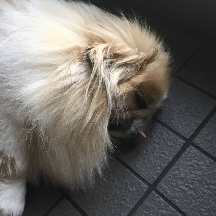 B643866f 99c2 4341 84ff 53015b0ee878