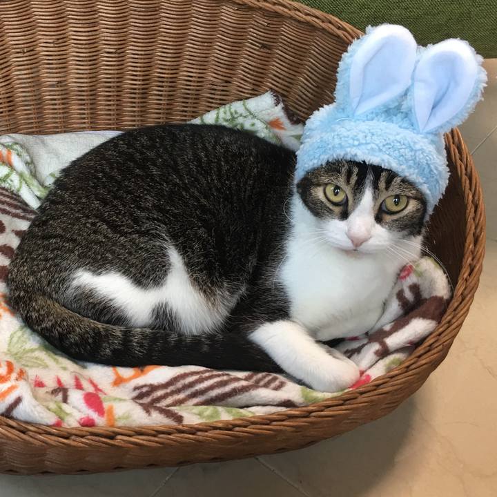 B643b195 861c 4e9a 91ac ff0b1d790c45