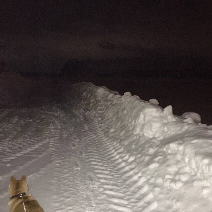 B643fc46 a526 4738 8414 900a8a08881c