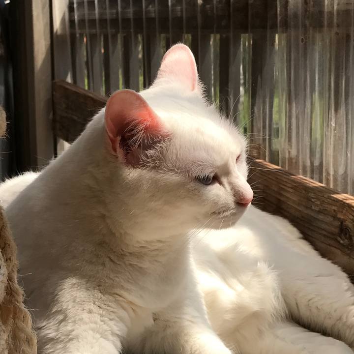 B64465d6 d1bf 4f68 aefa df74b6681f11