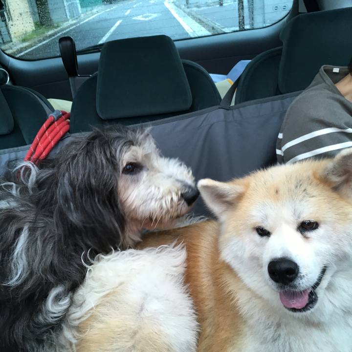 B644fbc5 4e36 4830 b53b 11185e6a5ace