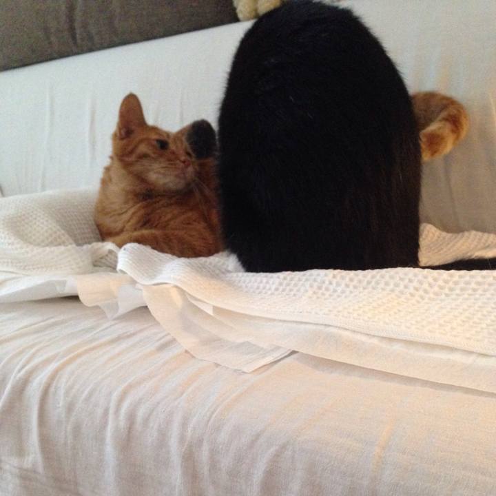 B6459837 b869 43f2 a867 589ba927535e