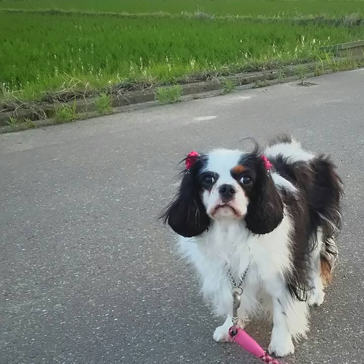 B6459c91 9d37 4480 bf84 8d3fe5330bf4