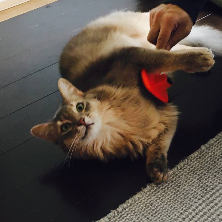 B64617e0 3c45 47df 8603 d56d0a772c80