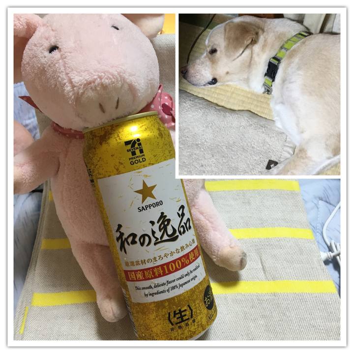 B64629cb f664 47e4 a0ae d7d5832085e9