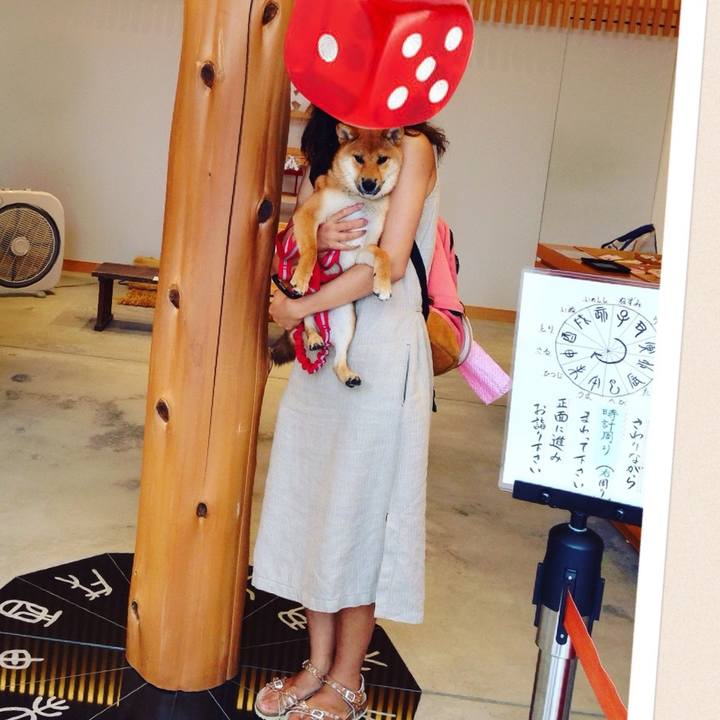 B64632fd b09b 4d9b b40f f89d9e10bb62