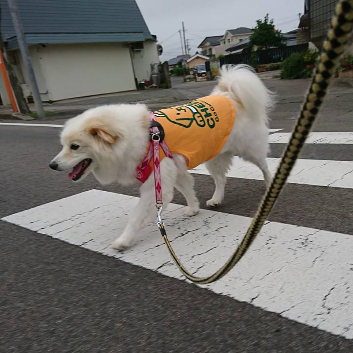 B64775be 177f 4e0a 9f4d d2365967149b