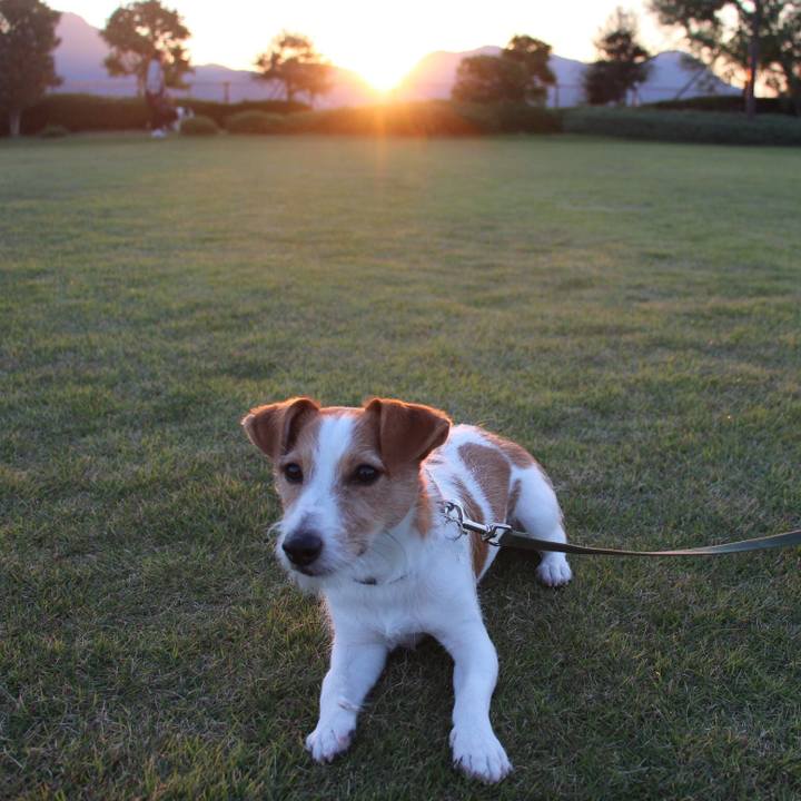 B6480ced e0a6 44f0 b7ca 80e83ac84464