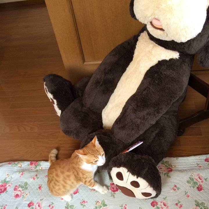 B648b533 6199 449f ba67 798a0b02cc71