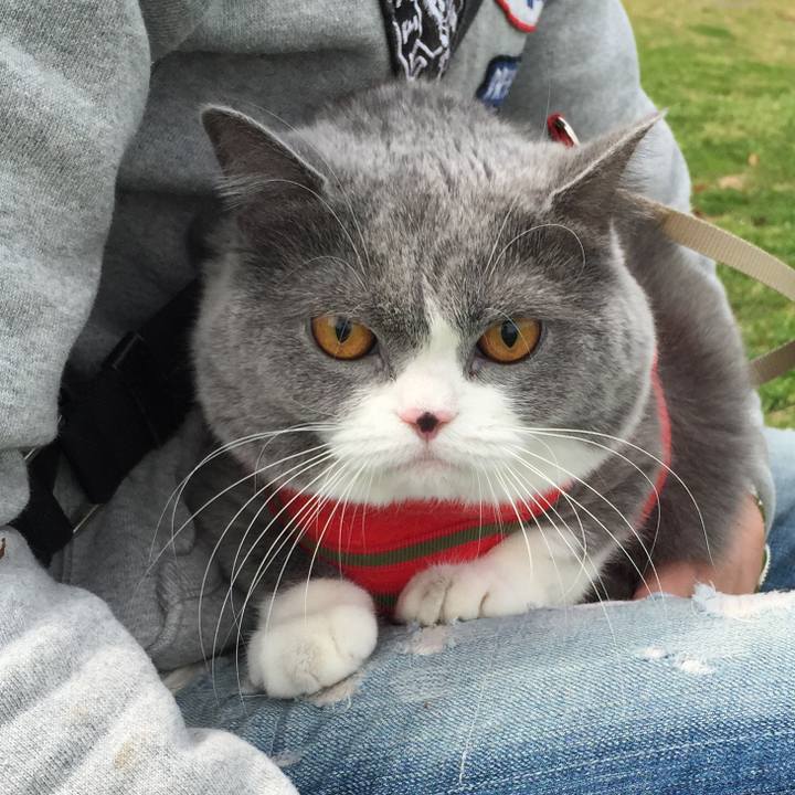 B6494bc6 be80 4c34 b5de fc0b441dfcb1