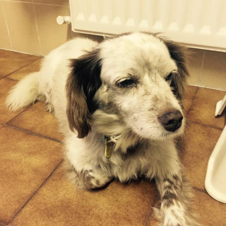 B649d4c6 1c8f 45b3 a3ae 60d9708c59e6