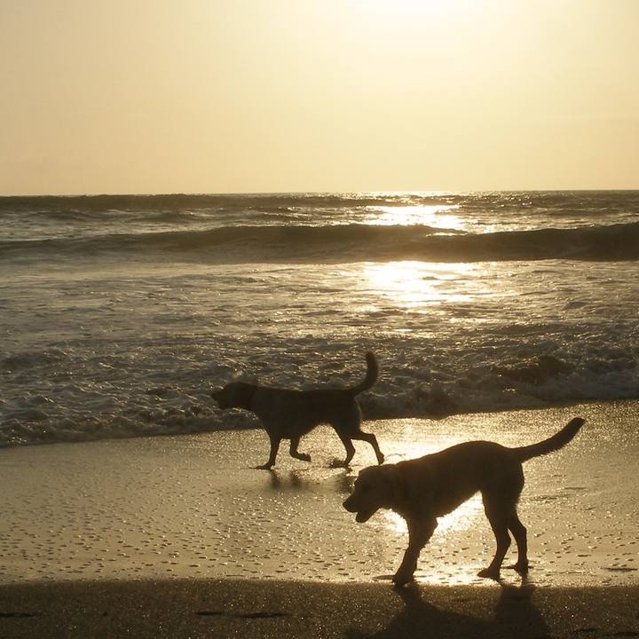 B649f5d5 990e 496f a8d1 df3e5dba4111