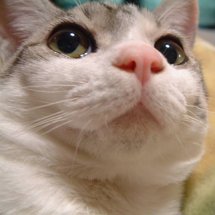 B64a2ead c1a2 4240 8a4c 5935444fe91c