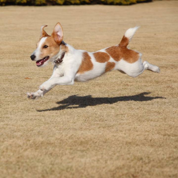 B64ab6f9 1a36 456d a4c3 e99b3e629b2a