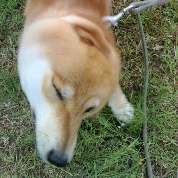 B64b4233 8131 427a b80c 7071d4504508