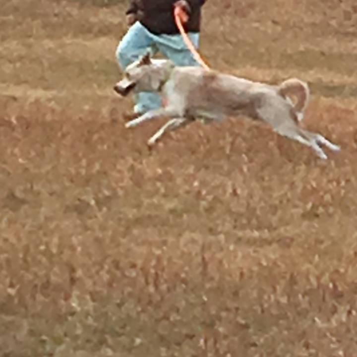 B64b97ac b8d5 4195 8cbc bc129d330fdd