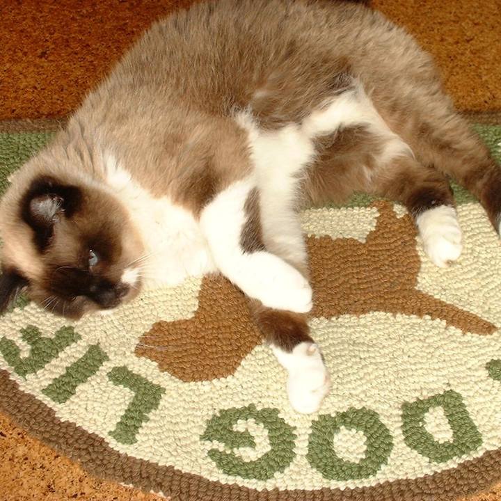 B64c54ff e3dd 4c06 a5c2 6b55966caebf