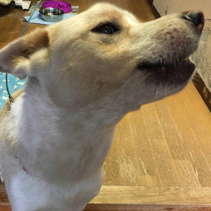 B64c63bf 7034 4712 9c8e 20d9ebf98de7