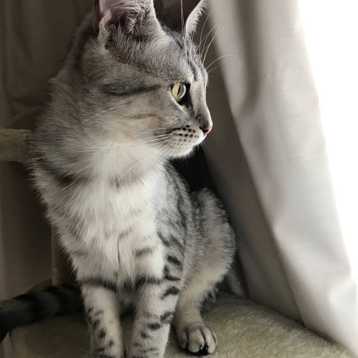 B64d8123 7a6e 44c2 b77f 0854a1363c2d